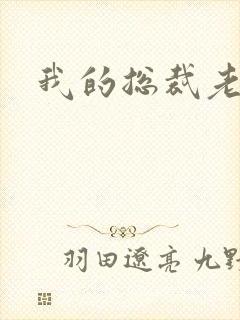 我的总裁老妈