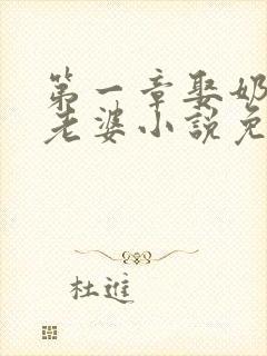 第一章娶奶奶当老婆小说免费阅读