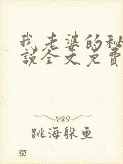 我老婆的秘密小说全文免费阅读