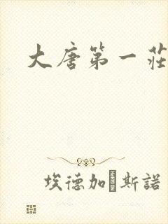 大唐第一庄