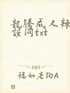 龙腾成人辣文小说网txt