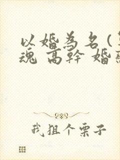 以婚为名 (军魂 高干 婚恋)