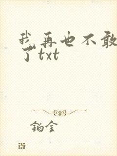 我再也不敢爱你了txt