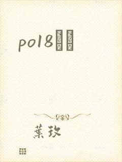 po18С˵封面