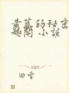 黄蓉的秘密 笔趣阁 小说