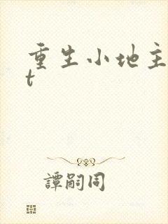 重生小地主txt封面