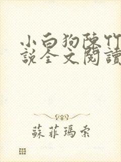 小白狗陈竹岚小说全文阅读免费