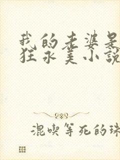 我的老婆是受虐狂永美小说免费阅读封面
