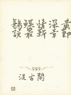 鹣鲽情深黄蓉小说最新章节更新