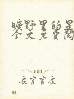 旷野里的星小说全文免费阅读