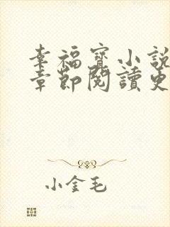 幸福宝小说免费章节阅读更新时间封面