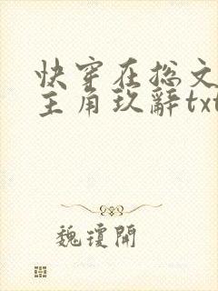 快穿在总文里抢主角玖辞txt