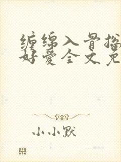 缠绵入骨总裁好好爱全文免费阅读