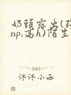 奶头露出(强jnp,高h)陌生人小说小说