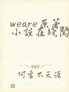 weare原著小说在线阅读封面