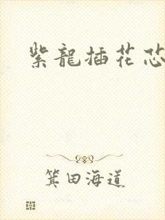 紫龙插花芯方正封面