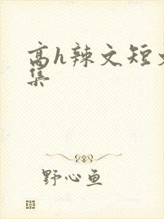 高h辣文短文合集