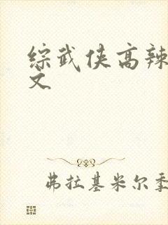 综武侠高辣肉h文封面