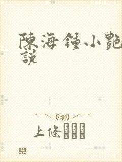陈海钟小艳的小说