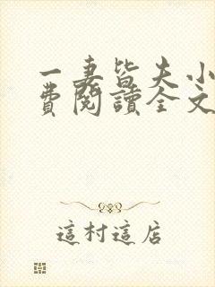 一妻皆夫小说免费阅读全文