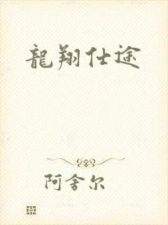 龙翔仕途封面