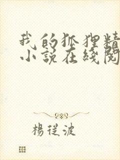 我的狐狸精后妈小说在线阅读