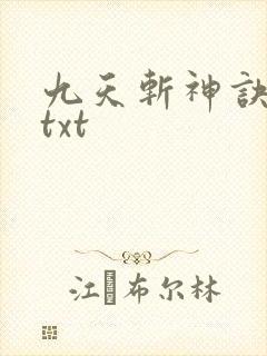 九天斩神诀林辰txt