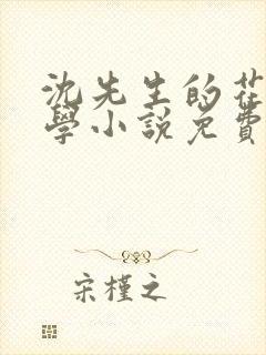 沈先生的花式教学小说免费