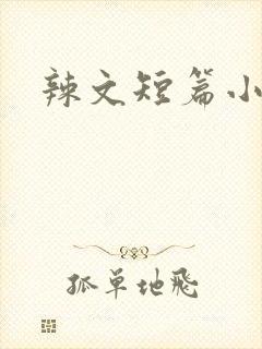 辣文短篇小说