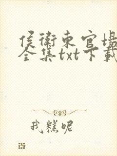 侯卫东官场笔记全集txt下载