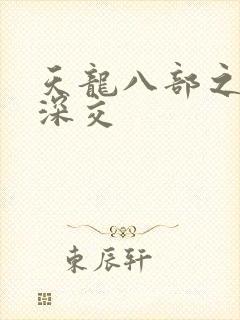天龙八部之极乐深交