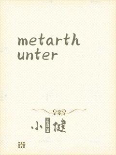 metarthunter封面