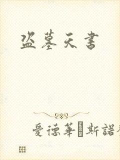 盗墓天书