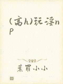 (高h)玩淫np