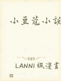 小豆蔻小说