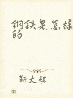 钢铁是怎样练成的封面