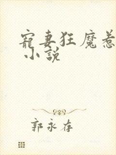 宠妻狂魔惹不得 小说