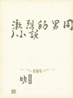 激烈的男同(h)小说封面