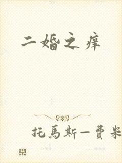 二婚之痒封面