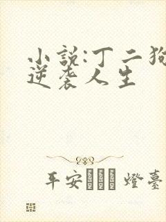 小说:丁二狗的逆袭人生封面