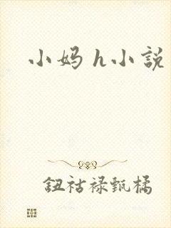 小妈 h小说