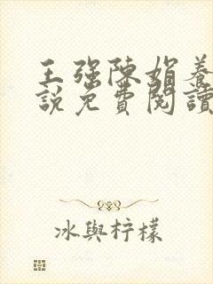 王强陈娟养父小说免费阅读