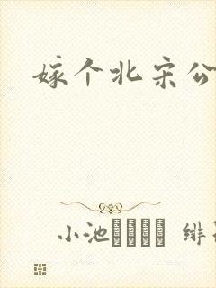 嫁个北宋公务员