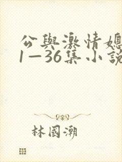 公与激情媳系列1—36集小说