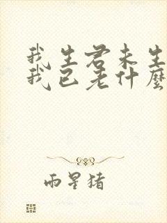 我生君未生君生我已老什么意思