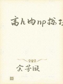 高h肉np总攻
