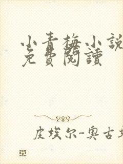 小青梅小说全文免费阅读封面