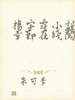 杨宇霆小说最新章节在线阅读