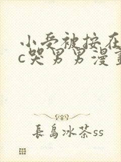小受被按在墙上c哭男男漫画封面