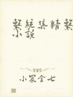 系统集精系统 小说